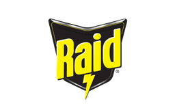 Raid